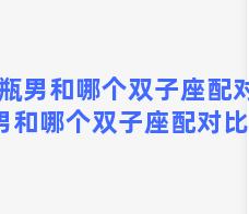 水瓶男和哪个双子座配对 水瓶男和哪个双子座配对比较好